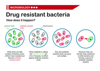 Microbiology shows diagram of drug resistant bacteria  - obrazy, fototapety, plakaty