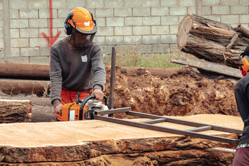 Lumberjack cutting tree trunk with giant chainsaw to make wooden planks