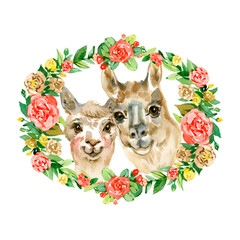 Watercolor hand draw illustration with cute alpaca lama couple and green and blue heart and flowers and leaves with white isolated background