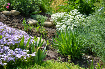 Flowerbed with stones, white and purple flowers and a lot of green plants