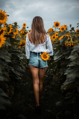 girl in the field of sunflowers
