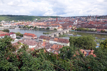 Fototapeta premium Main und Altstadt in Wuerzburg