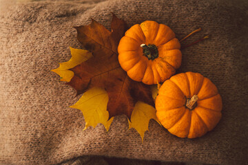 Sweaters and two pumkins with autumn leaves. Still life details in home interior. Cozy autumn...