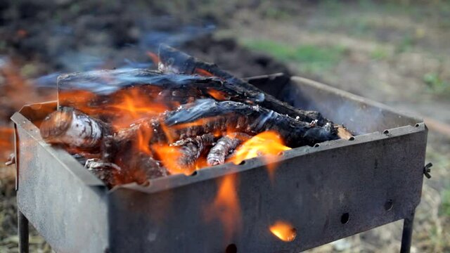 firewood is burning from fruit and berry trees in the grill for cooking barbecue 