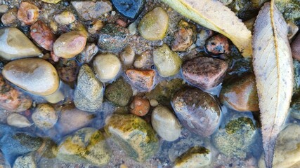 stones in the water