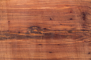 Tree plank texture for background. Cut tree trunk texture. Wood texture