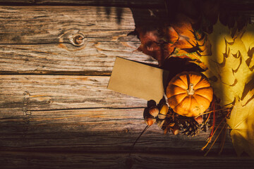 Thanksgiving card. Bouquet of bright yellow red maple leaves and orange pumpkin on a wooden background. Cozy autumn concept. Space for text.