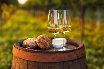 Two glasses full of white wine on an old barrel in the vineyard