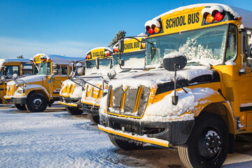School buses covered in snow .