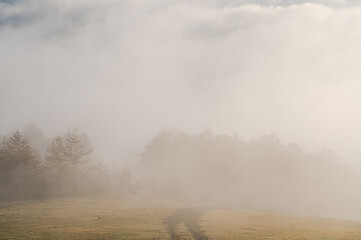 秋の霧の朝