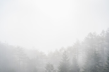 Fototapeta na wymiar 秋の霧の朝