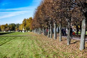 the old museum and park complex Kuskovo in Moscow at the beginning of autumn on a bright sunny day 