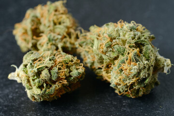 Dried cannabis blooms, macro view, close-up. Medicinal marijuana flowering with trichomes on black...