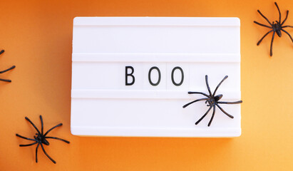 Halloween wallpaper. Boo text with spiders flat lay
