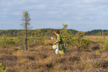 Obraz premium Relax in nature: stylish urban girl walking on swamp picking cranberries and seasonal berries on weekend or vacation. Female travel outside city for recreation and unity with nature. Autumn leisure