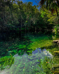 Cenote en QuintanaRoo, Mexico