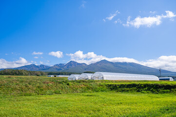 Fototapeta premium 秋の農村と八ヶ岳