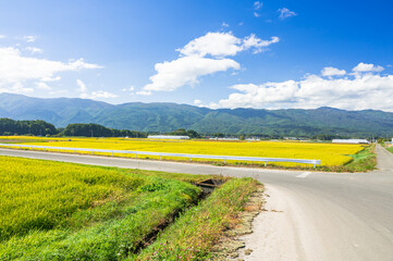 田舎の田園風景　原村