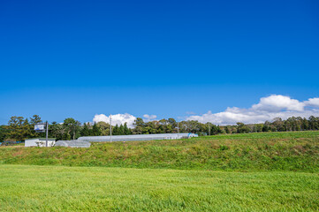 青空と牧草　原村