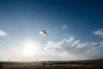 Fototapeta na wymiar A beautiful kite soars against the blue sky. Freedom and space.