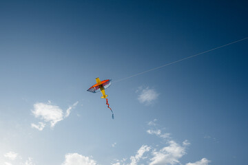 Naklejka na ściany i meble A beautiful kite soars against the blue sky. Freedom and space.