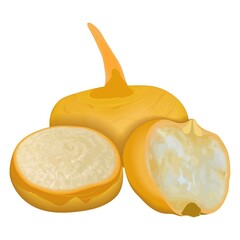 Orange turnip for banners, flyers, posters, cards. Whole and half yellow turnips. Fresh organic and healthy, diet and vegetarian vegetables. Vector illustration isolated on white background