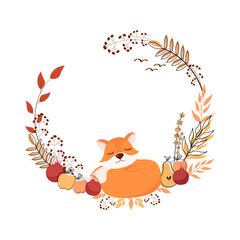 Sleeping fox.