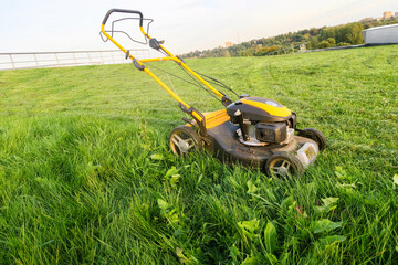 Fototapeta na wymiar Grass mowed by a lawn mower. Lawn care on the lawn in front of the house.