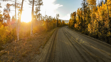 Country Road in The Fall