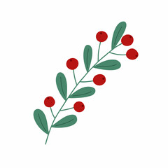 Christmas plant decorative branch with green leaves, red berries for home decor, festive holiday arrangement, vector illustration for seasonal greeting card, invitation, banner