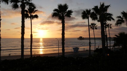 Obraz premium Palms silhouette on twilight sky, California USA, Oceanside pier. Dusk gloaming nightfall atmosphere. Tropical pacific ocean beach, sunset afterglow aesthetic. Dark black palm tree, Los Angeles vibes.