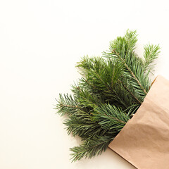 fir branches in a craft bag on a beige background..