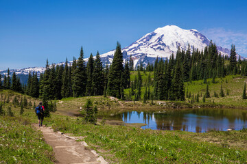 A hiker on a trail surrounded by wildflowers and next to a tarn with reflections of Mt. Rainier at...
