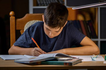 The schoolboy does homework at home. The boy is doing his homework