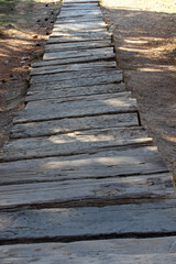 wooden steps in the park