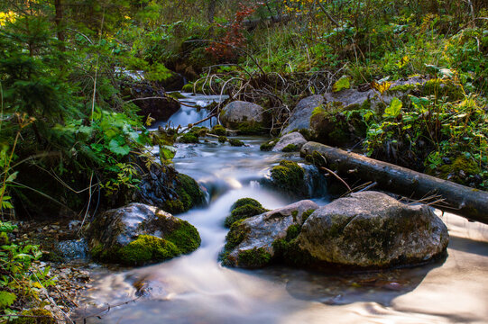 Mokry Bilder Durchsuchen 7,477 Archivfotos, und Videos