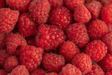 Ripe red raspberries on a plate.