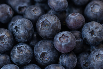Ripe blueberries on a plate