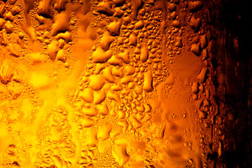 Several beer bottles with condensation,Close up of beer bottles,Italy, Venezuela, Beer - Alcohol,...