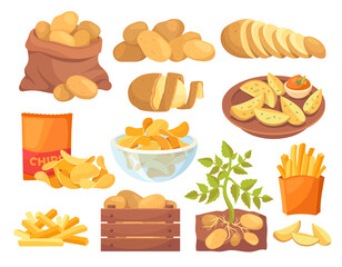 Set of potatoes products icons. French fries, country potatoes, different cooking methods. Delicious meals, fast food. Chips, pancakes. Realistic vector illustration isolated on white background