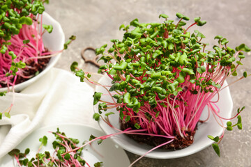 Bowl with fresh micro green on grunge background, closeup