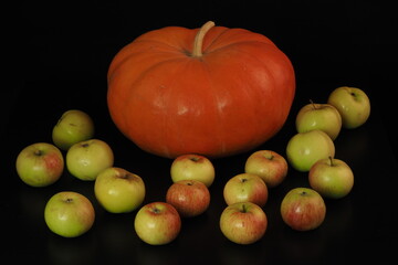 Autumn harvest. Ripe round pumpkin and apples on a black background. Halloween.