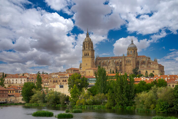 Fototapeta na wymiar Catedral de la Asunción de la Virgen en la ciudad de Salamanca, España