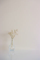 gypsophila.branch in a vase. flowers in a vase on a white background. decor. vase and flowers. leaf in a vase