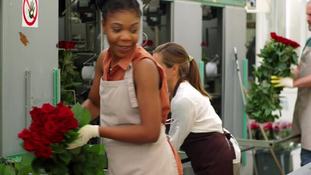 African American woman in gloves and apron checking bunch of red roses and putting it on conveyor belt at flower factory