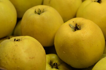 Yellow ripe fresh quince fruits appleshape closeup, cydonia fruits background.