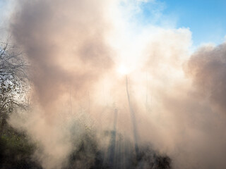 sun rays lit dense smoke from burning plants in home garden in autumn twilight