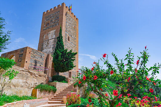 Torre del homenaje de castillo, fortaleza o alcazaba vista desde los jardines contra un cielo azul de un bonito d&iacute;a soleado. Desde V&eacute;lez, M&aacute;laga, Andaluc&iacute;a, Espa&ntilde;a.