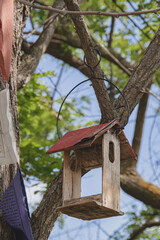 Árbol con casa para aves pájaros colores rojo azul verde marrón