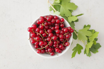 Bowl with ripe red currant on light background, closeup